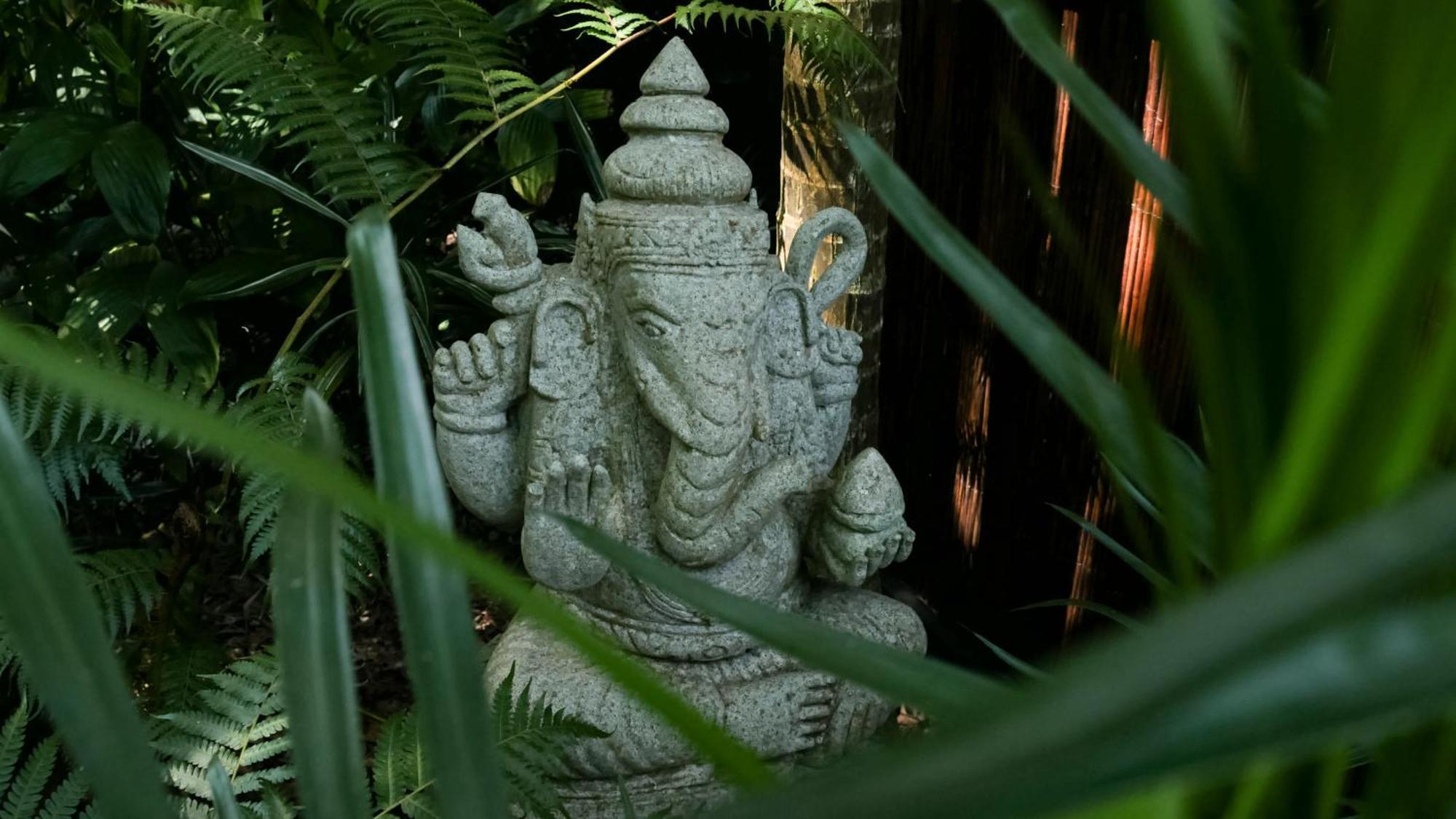 Hotel Shambhala @ Byron Byron Bay Zewnętrze zdjęcie
