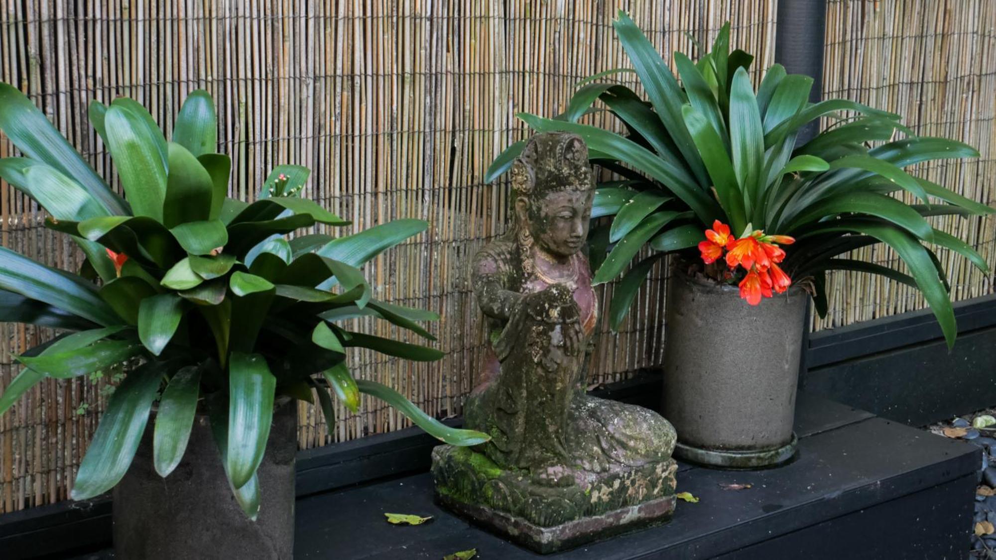 Hotel Shambhala @ Byron Byron Bay Zewnętrze zdjęcie