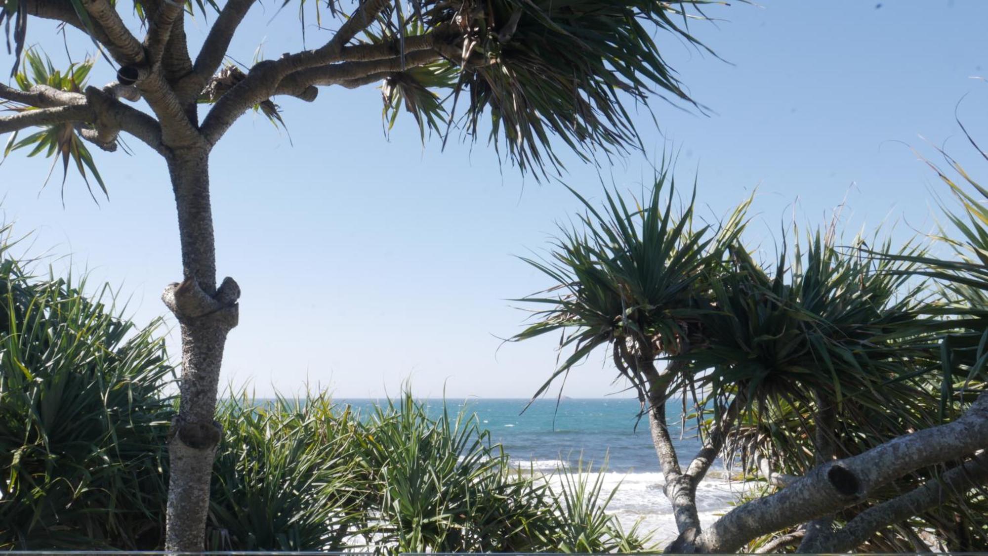 Hotel Shambhala @ Byron Byron Bay Zewnętrze zdjęcie